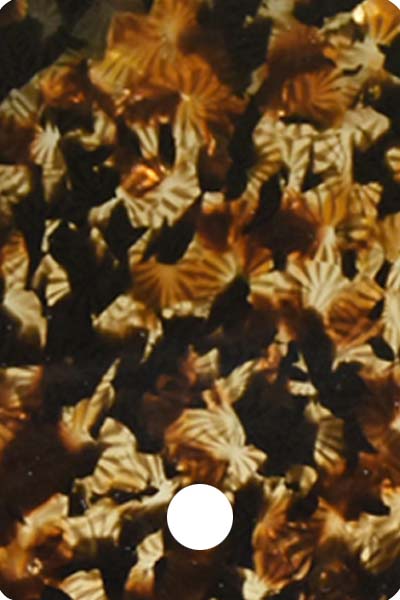 YLA2FA501